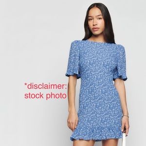 Reformation Alaina Dress in Suzette